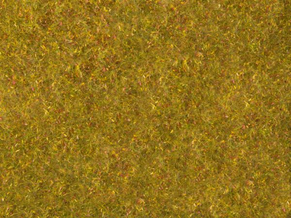 NOC-07290